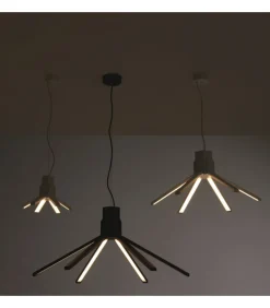 Aster, Sospensione A 6 Luci Media