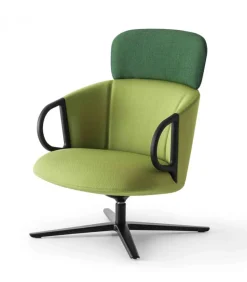 Cucaracha Hb Con Tavoletta Opzionale.