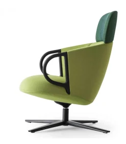 Cucaracha Hb Con Tavoletta Opzionale.