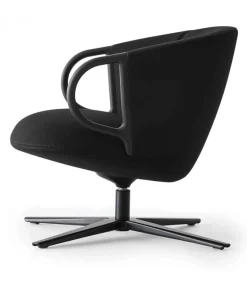 Cucaracha Lb Con Schienale Basso.