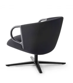 Cucaracha Lb Con Schienale Basso.