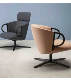 Cucaracha Lb Con Schienale Basso.