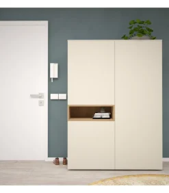 Ingresso Contenitivo Con Nicchia Colorata