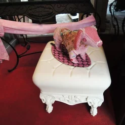 Little Prince Of Love