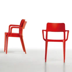 Nene' Pp In Polipropilene