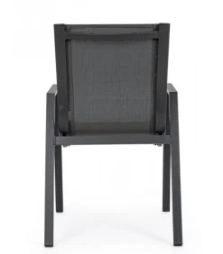 Pelagius Sedia Con Braccioli