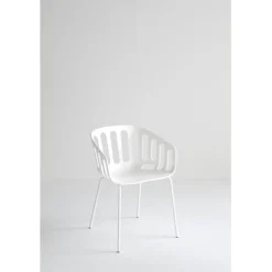 Sedia Basket Na Moderna E Contemporanea