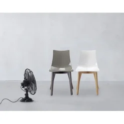 Sedia Natural Zebra Di Scab. Scegli Tu Il Colore Della Scocca In Policarbonato E Delle Gambe In Faggio.