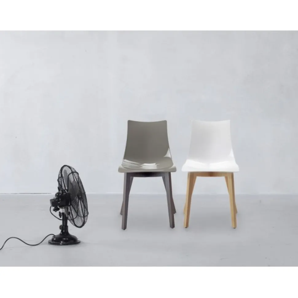 Sedia Natural Zebra Di Scab. Scegli Tu Il Colore Della Scocca In Policarbonato E Delle Gambe In Faggio.