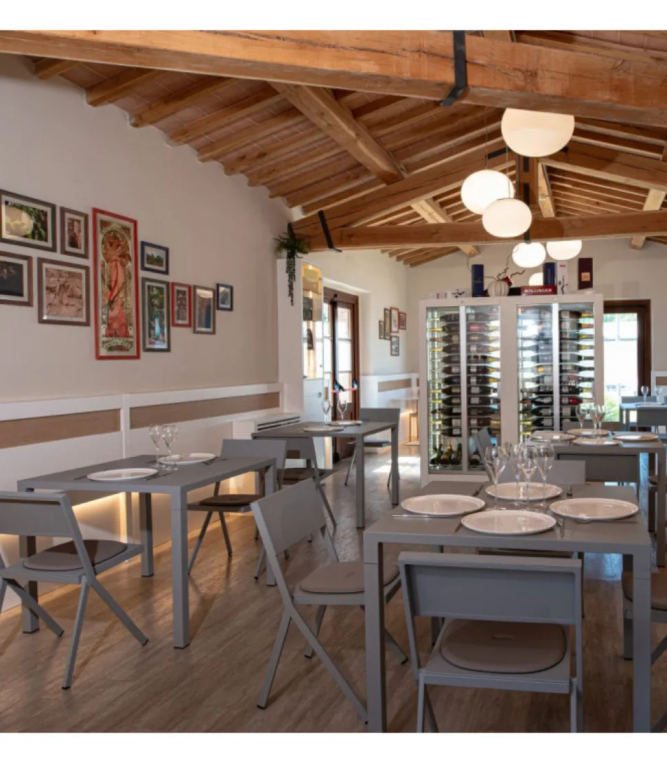 Tavolo Da Giardino Nova Tq.